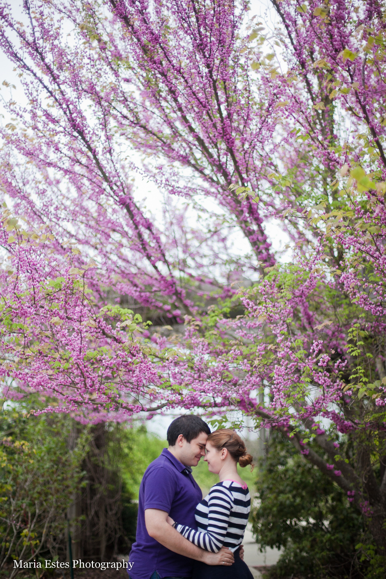 Raleigh Engagement Photos