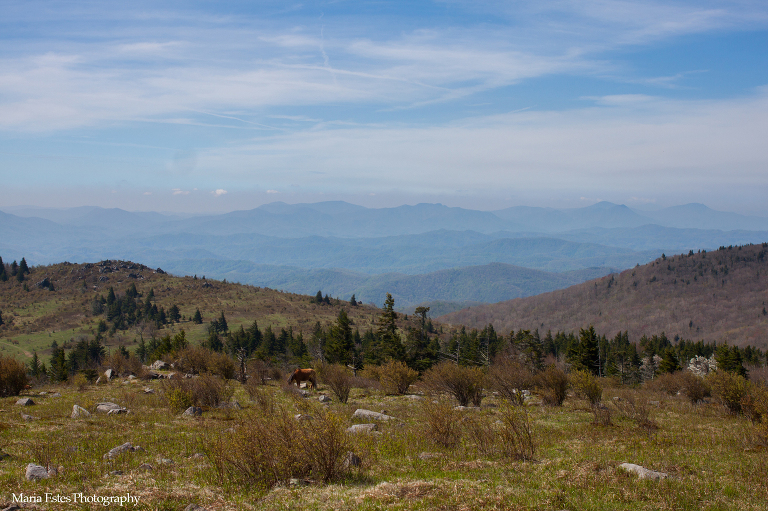 Grayson Highlands