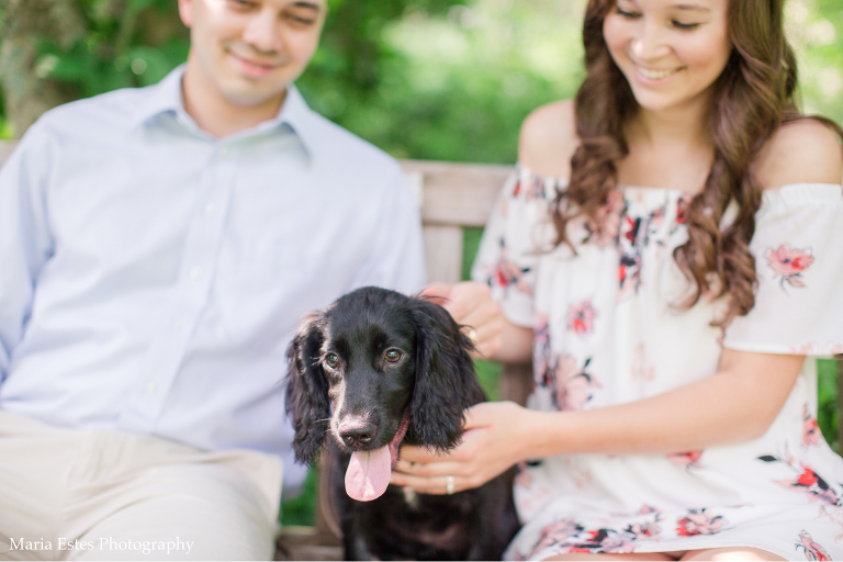 Chapel Hill Family Photography