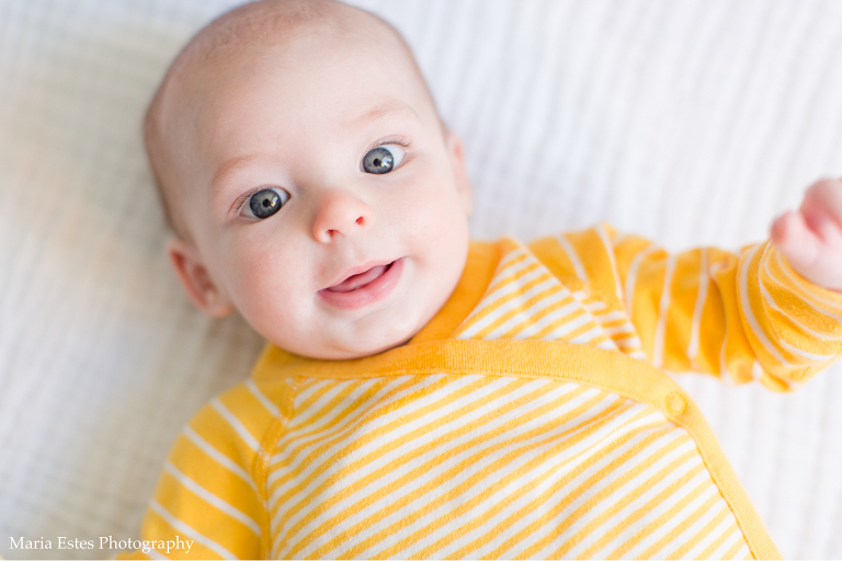 Triangle Newborn Photography