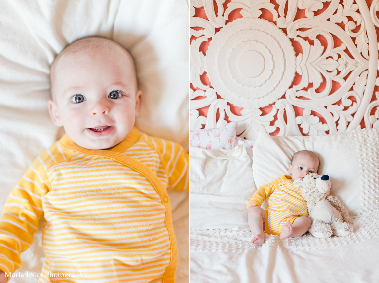 Triangle Newborn Photography