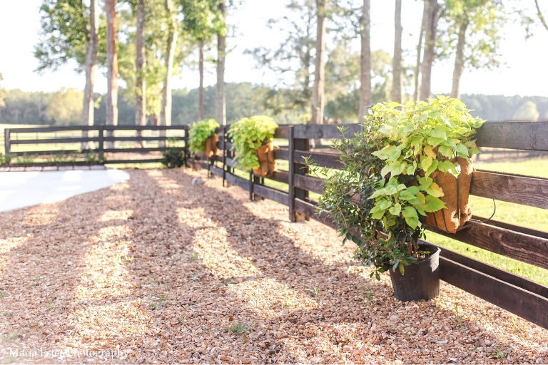 Southwest Louisiana Wedding Photographer